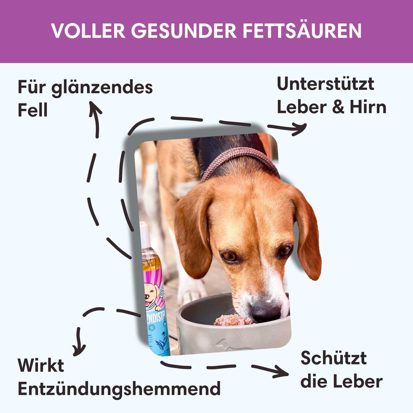 Mariendistelöl - Für gesunde Leber, Haut & Fell