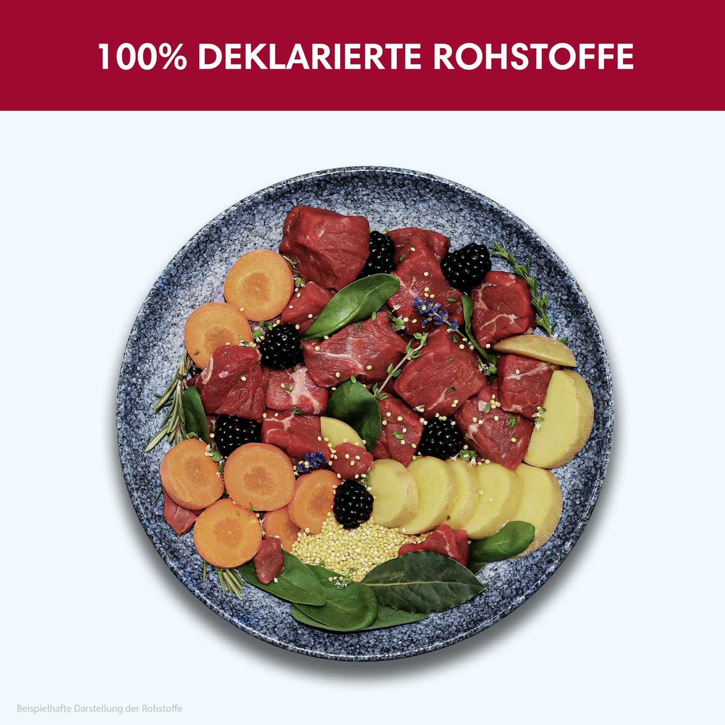 Nassfutter Rind | Adult