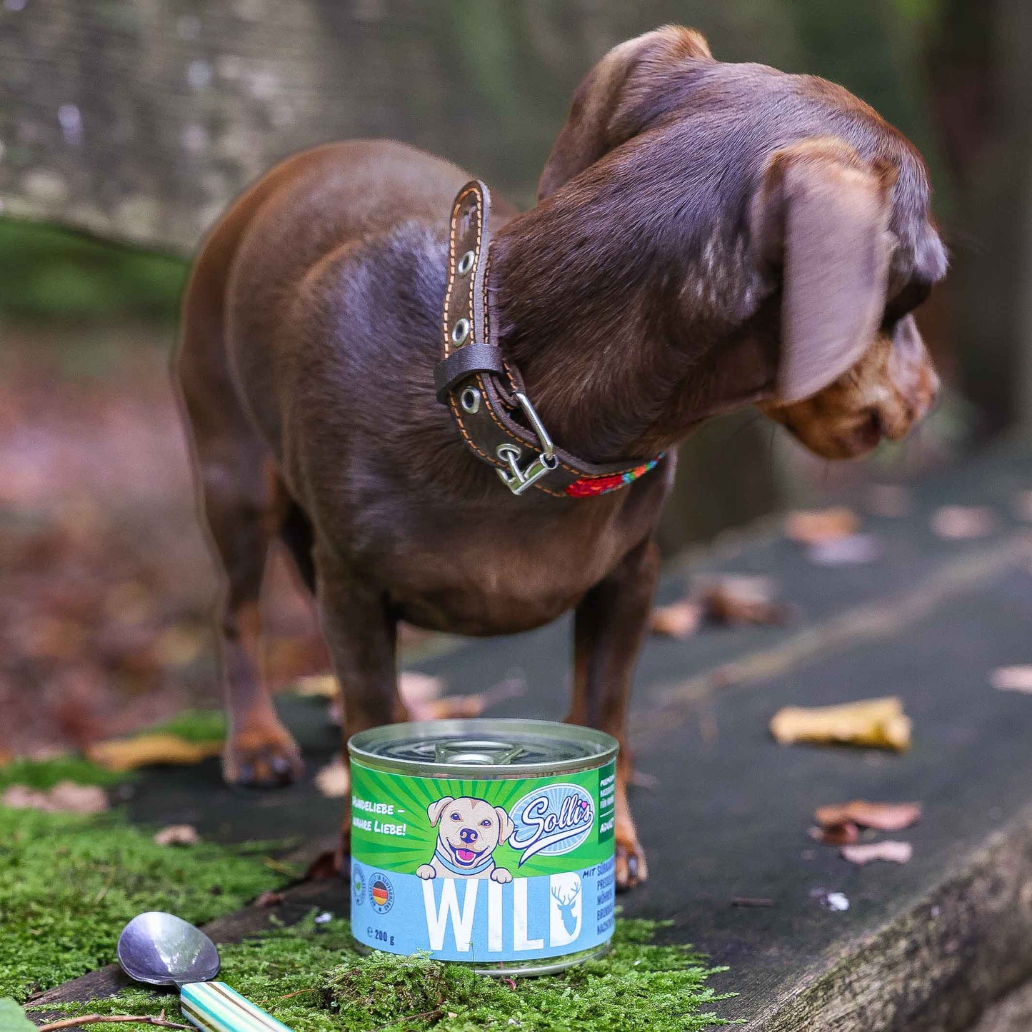 Nassfutter Wild/Wildschwein | Adult