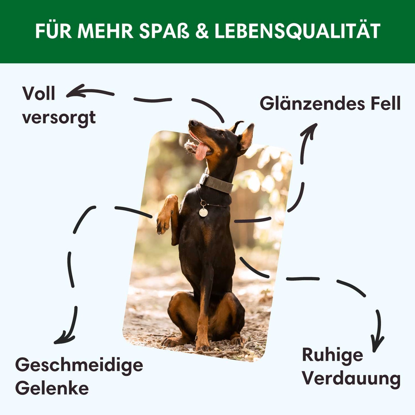 Nassfutter Wild/Wildschwein | Adult