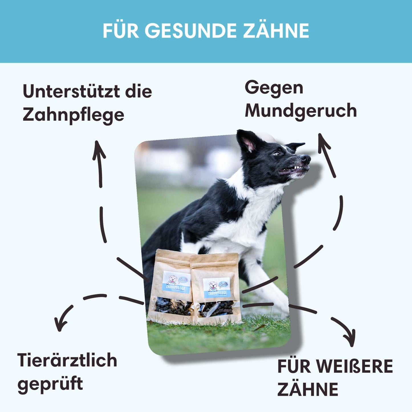 Funktionaler Snack Zahnpflege - Unterstützt die Zahnpflege