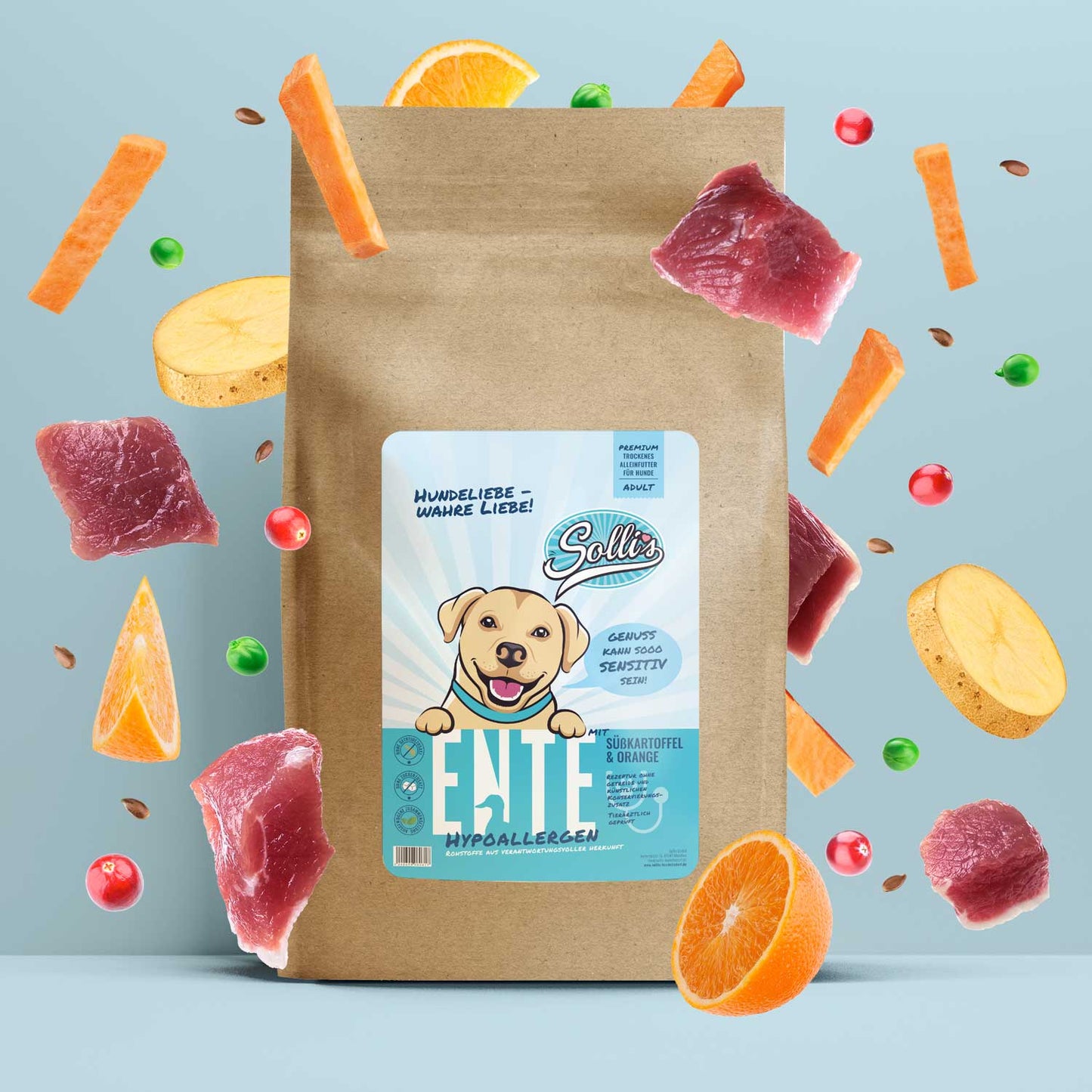 Trockenfutter Ente | Adult-Regular