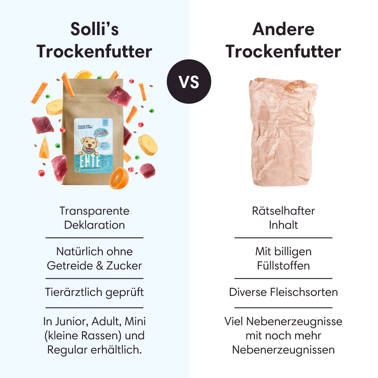 Trockenfutter Ente | Adult-Regular