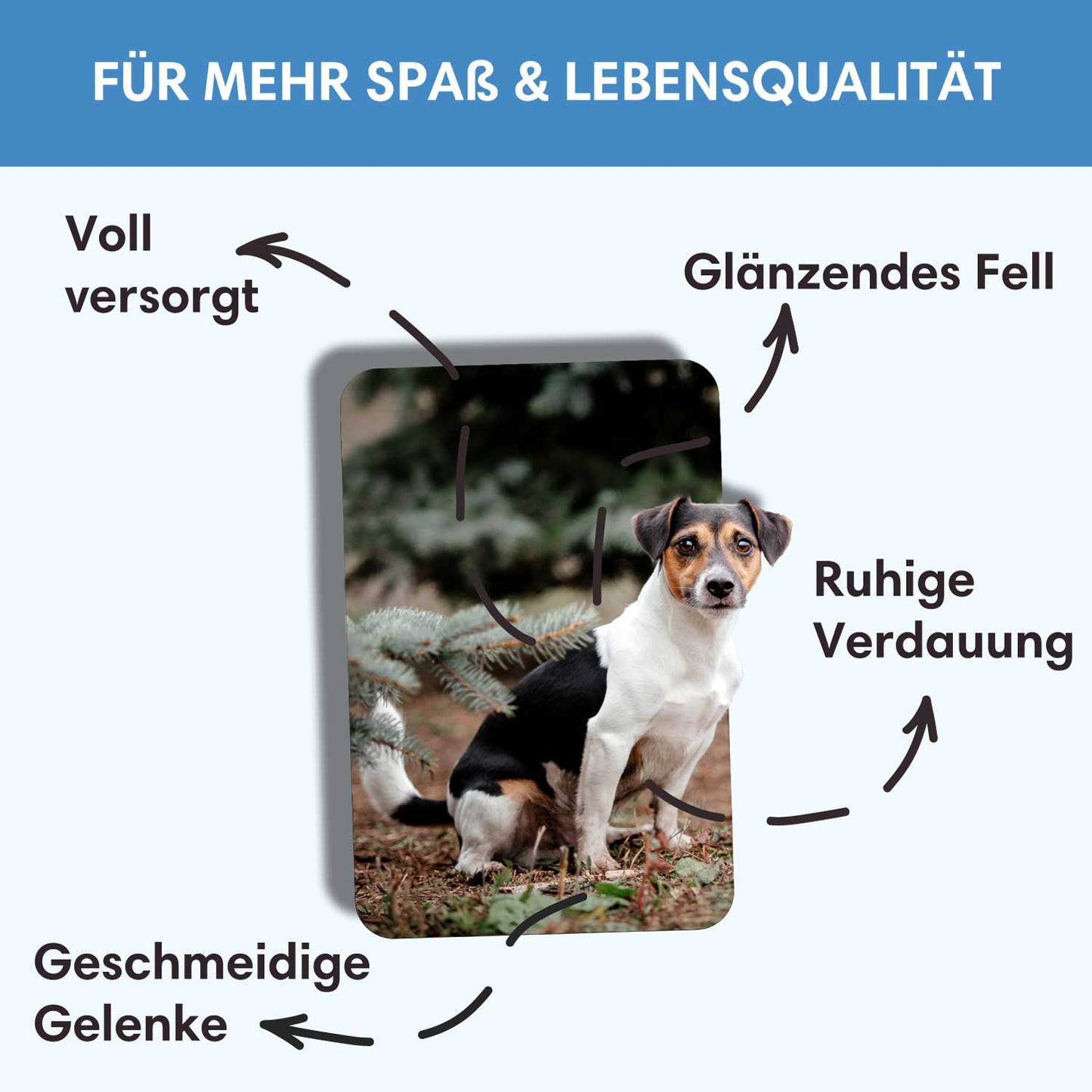 Trockenfutter Freilandtruthahn-Minis | kleine Rassen