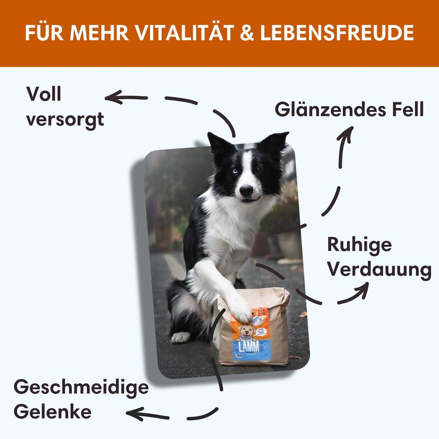 Trockenfutter Lamm-Minis | kleine Rassen