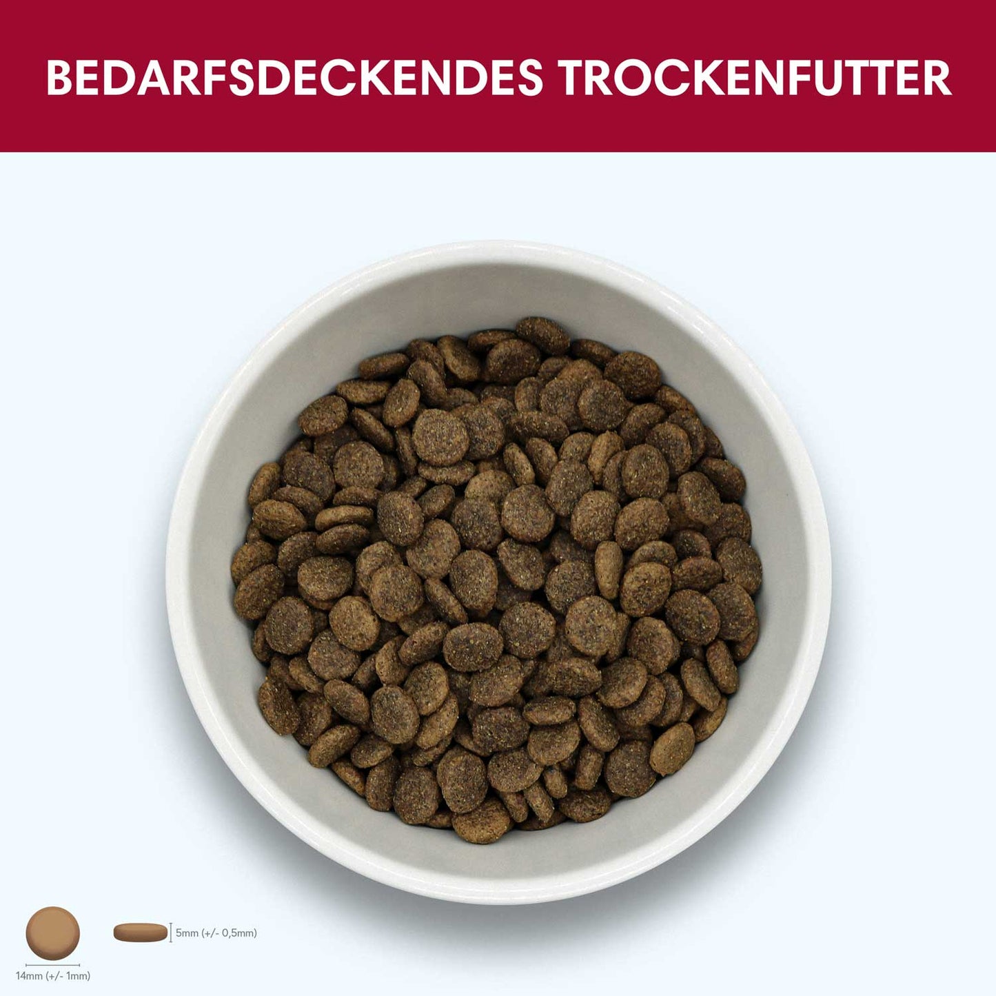 Trockenfutter Angus-Rind | Adult-Regular