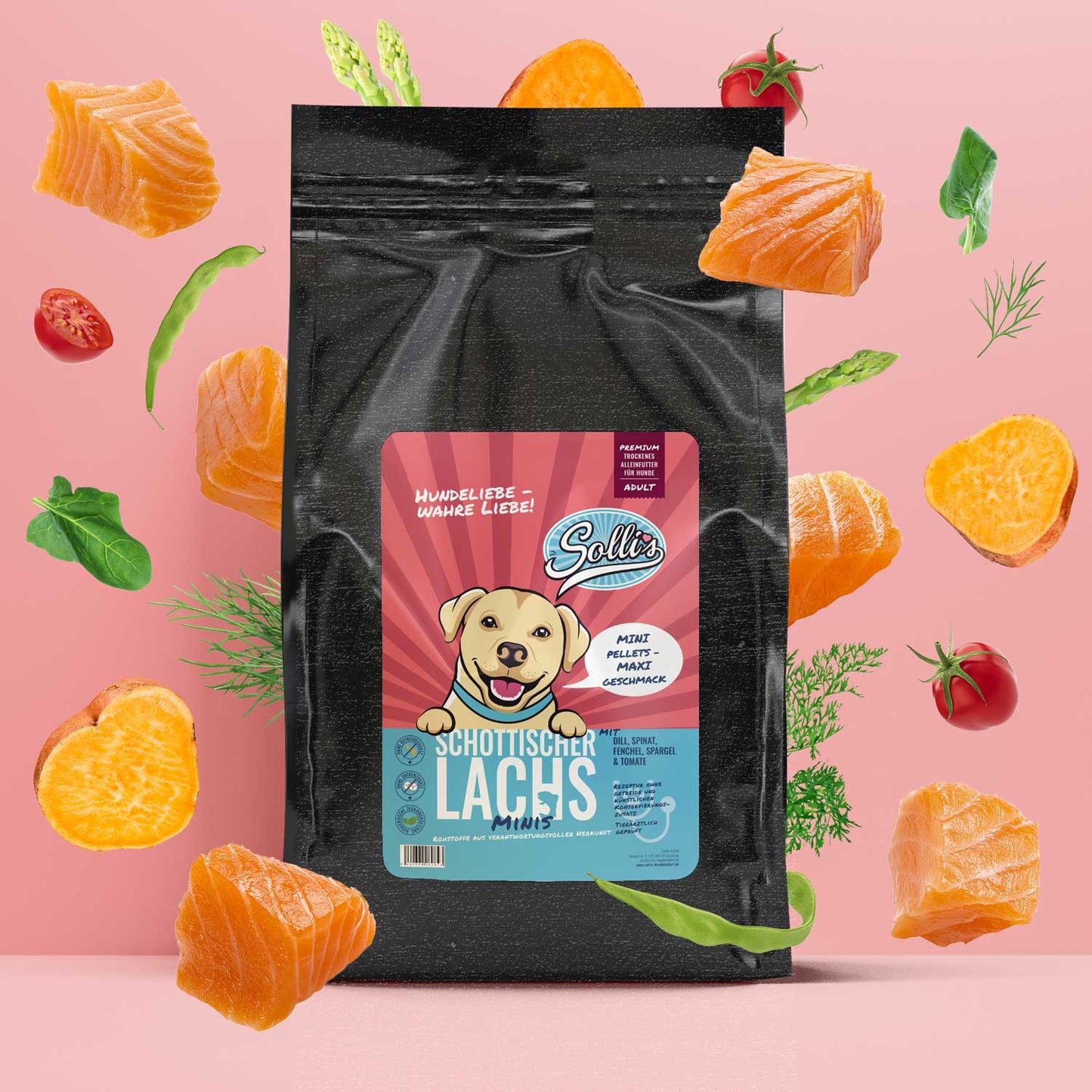 Trockenfutter Schottischer Lachs-Minis | kleine Rassen