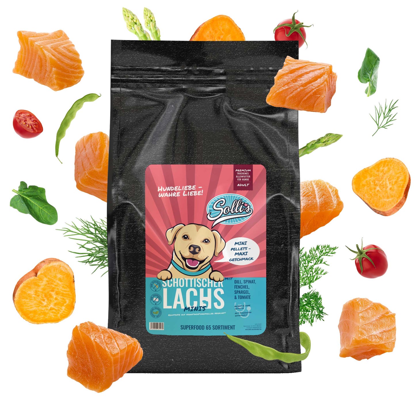 Trockenfutter Schottischer Lachs-Minis | kleine Rassen
