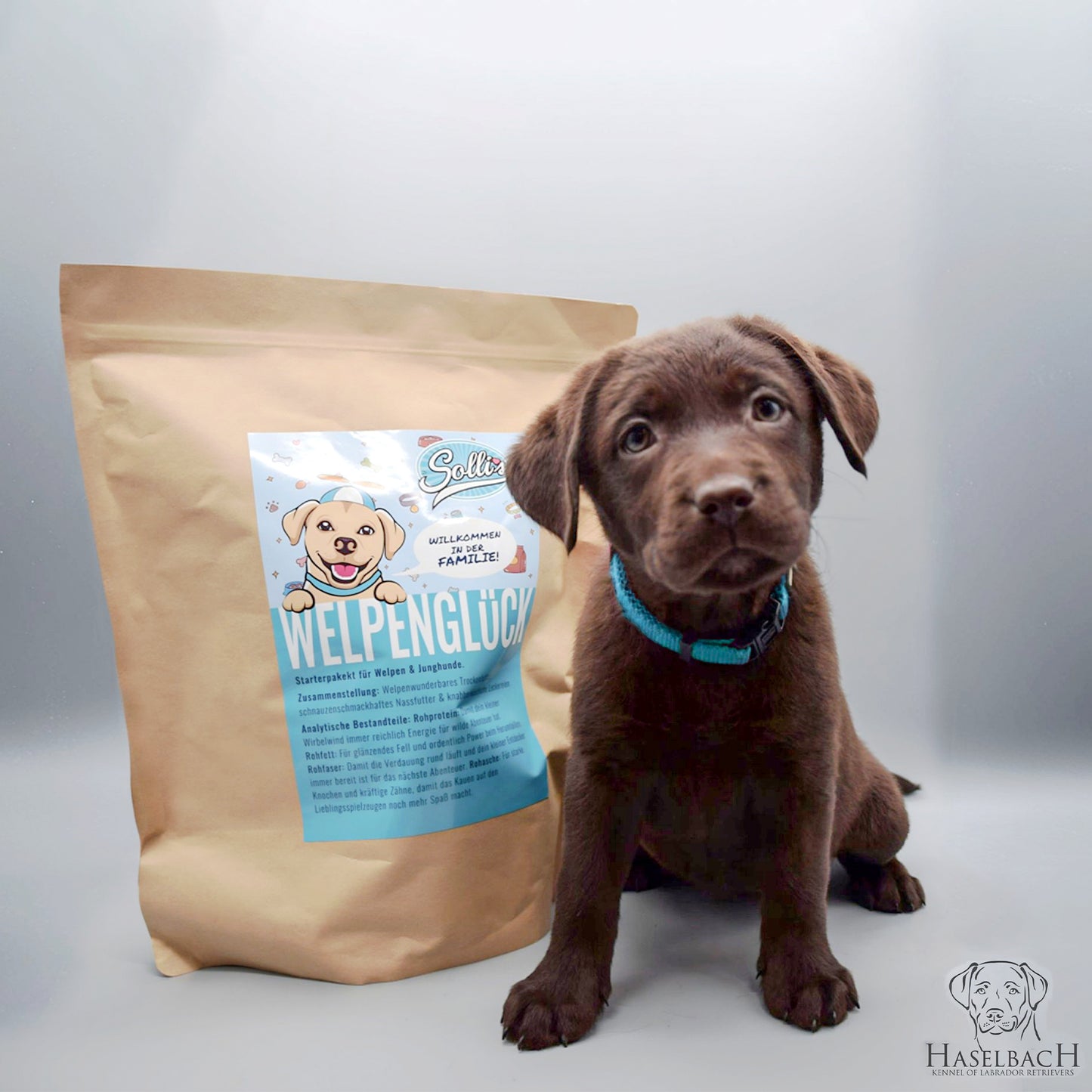 Starterpaket für Welpenkäufer | Züchter
