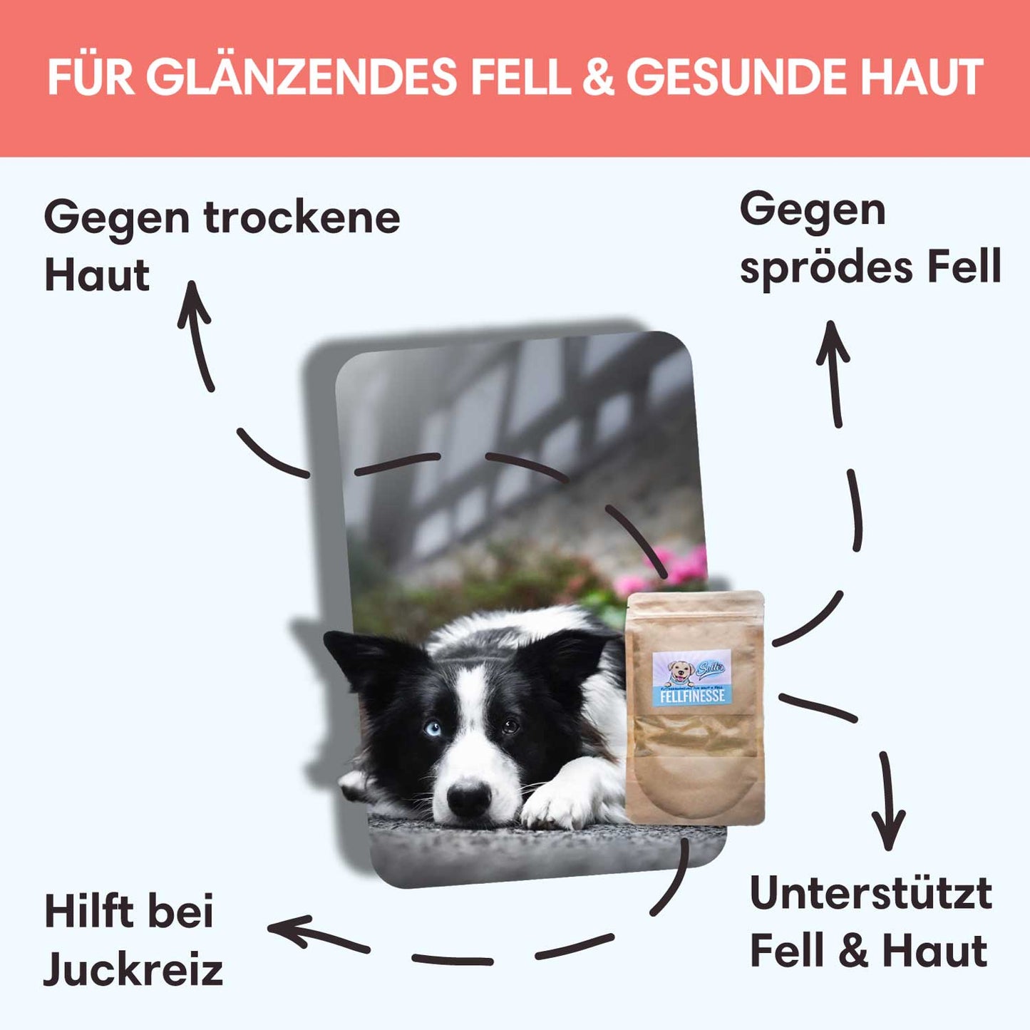 Fellfinesse - Gegen Juckreiz, kahle Stellen & sprödes Fell