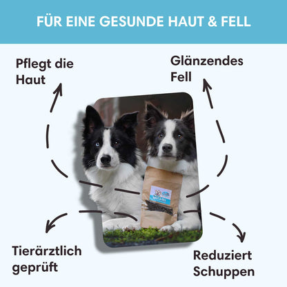 Funktionaler Snack Haut & Fell - Pflegt Fell & reduziert Schuppen