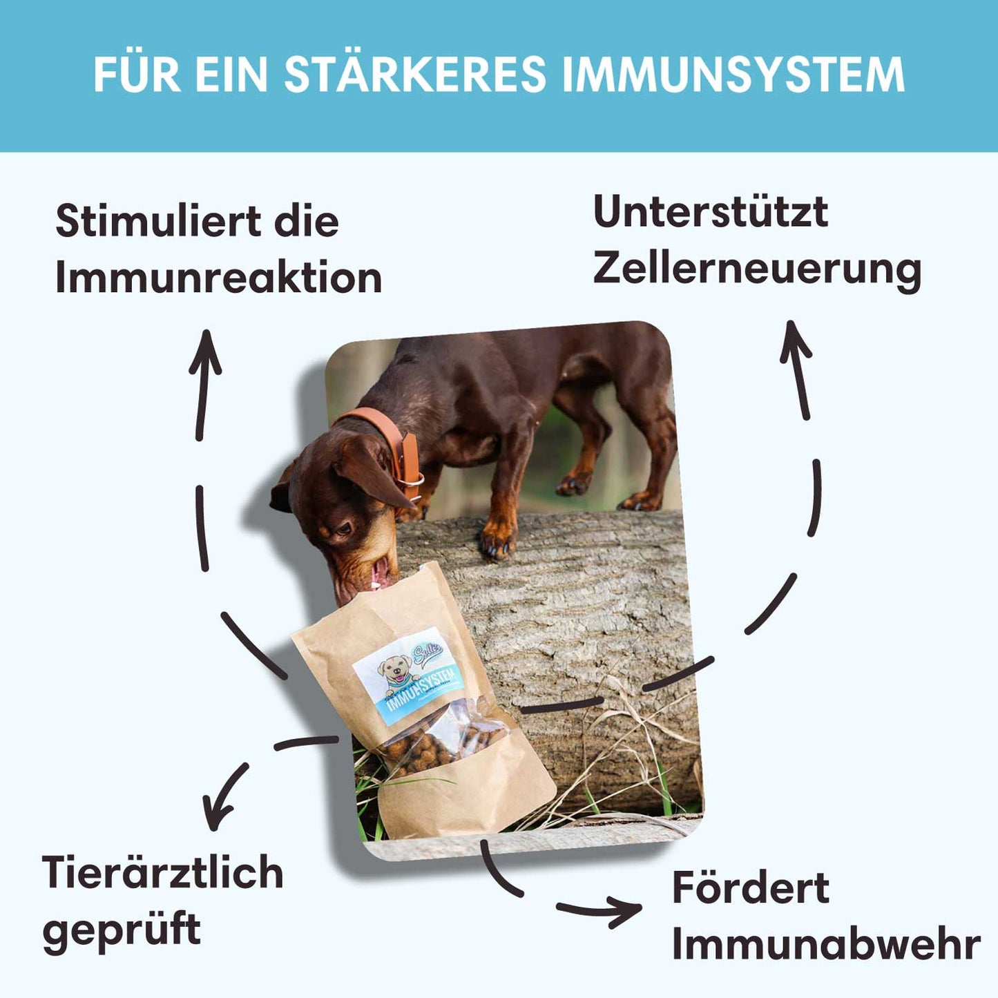 Funktionaler Snack Immunsystem - Fördert Immunabwehr