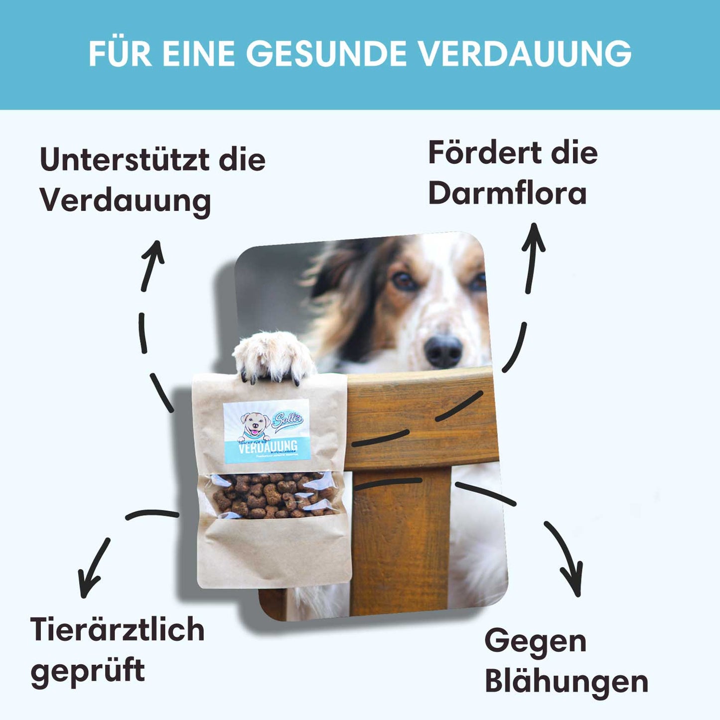 Funktionaler Snack Verdauung - Fördert eine gesunde Darmflora