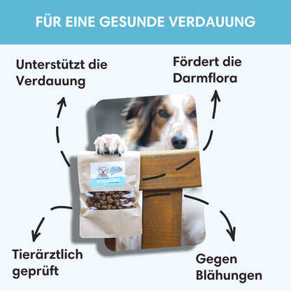 Funktionaler Snack Verdauung - Fördert eine gesunde Darmflora