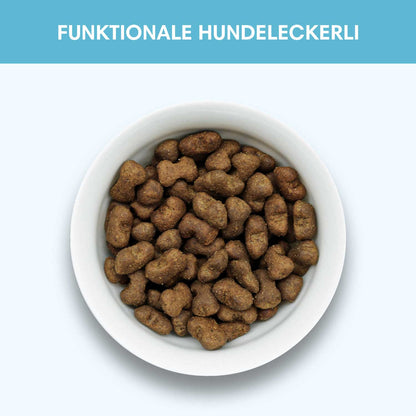 Funktionaler Snack Verdauung - Fördert eine gesunde Darmflora