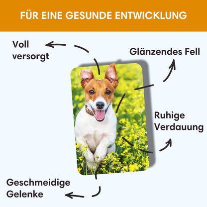 Trockenfutter Huhn | Junior-Regular