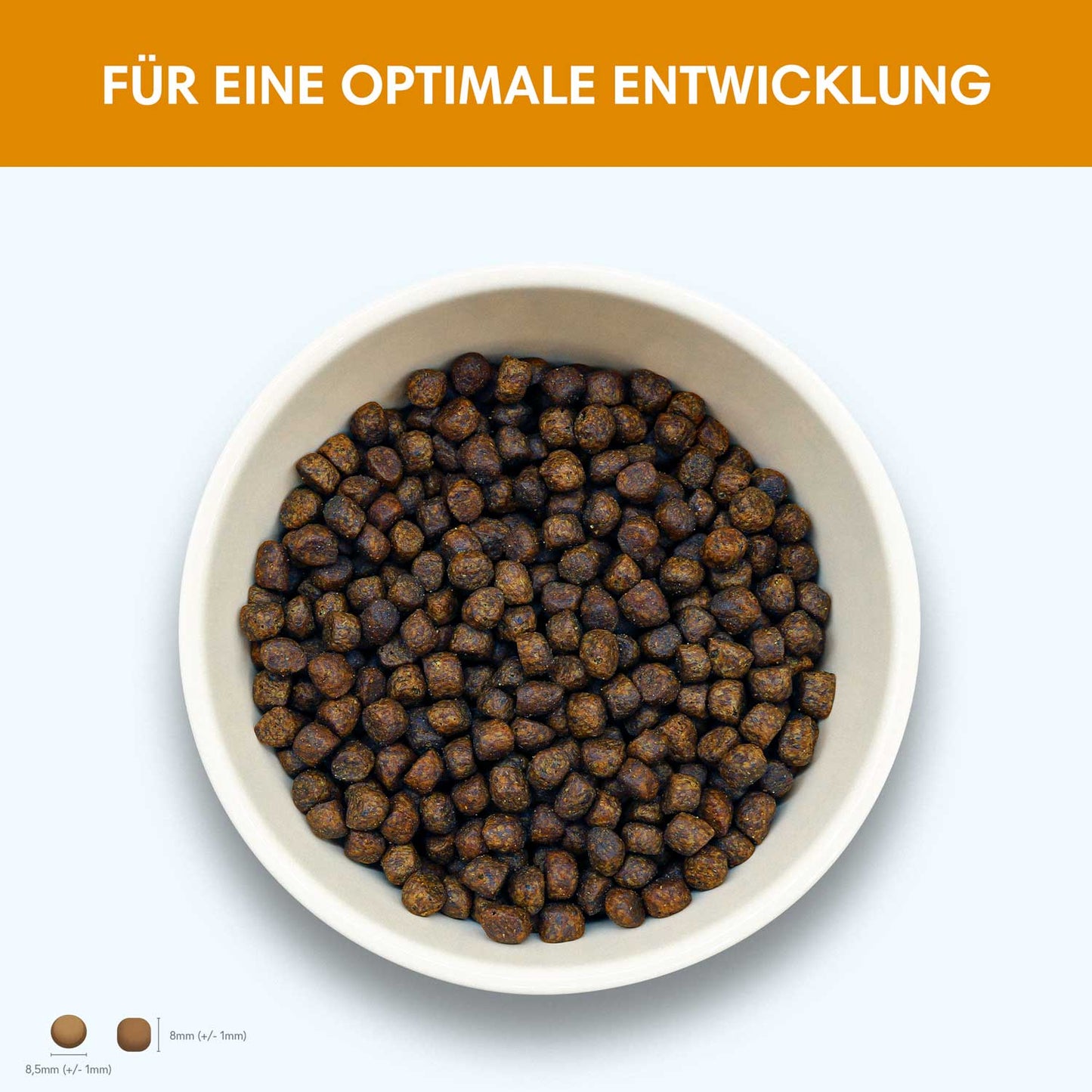 Trockenfutter Huhn | Junior-Regular