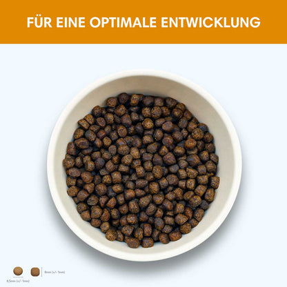 Trockenfutter Huhn | Junior-Regular
