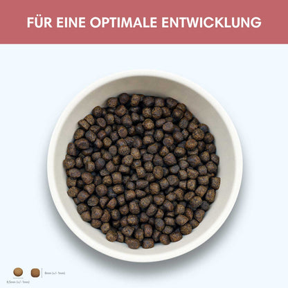 Trockenfutter Lachs | Junior-Regular