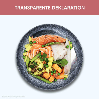 Trockenfutter Lachs | Junior-Regular