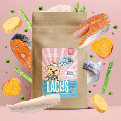 Trockenfutter Lachs | Junior-Regular