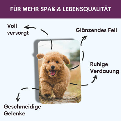 Trockenfutter Truthahn-Minis | Junior - kleine Rassen